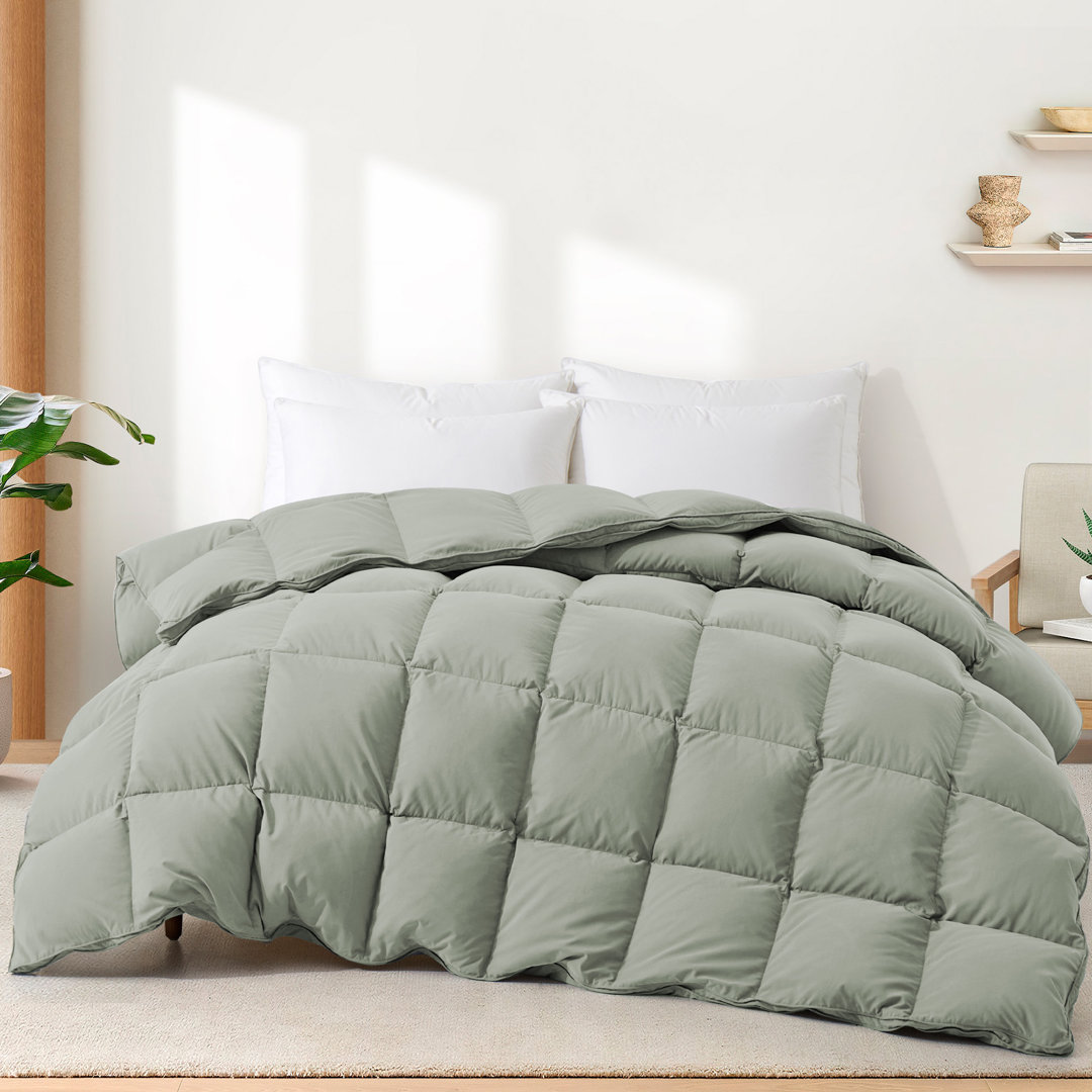 600 Fill Power All Season Down Comforter/Duvet Insert